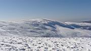 D2-059.jpg